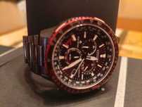 Citizen Promaster