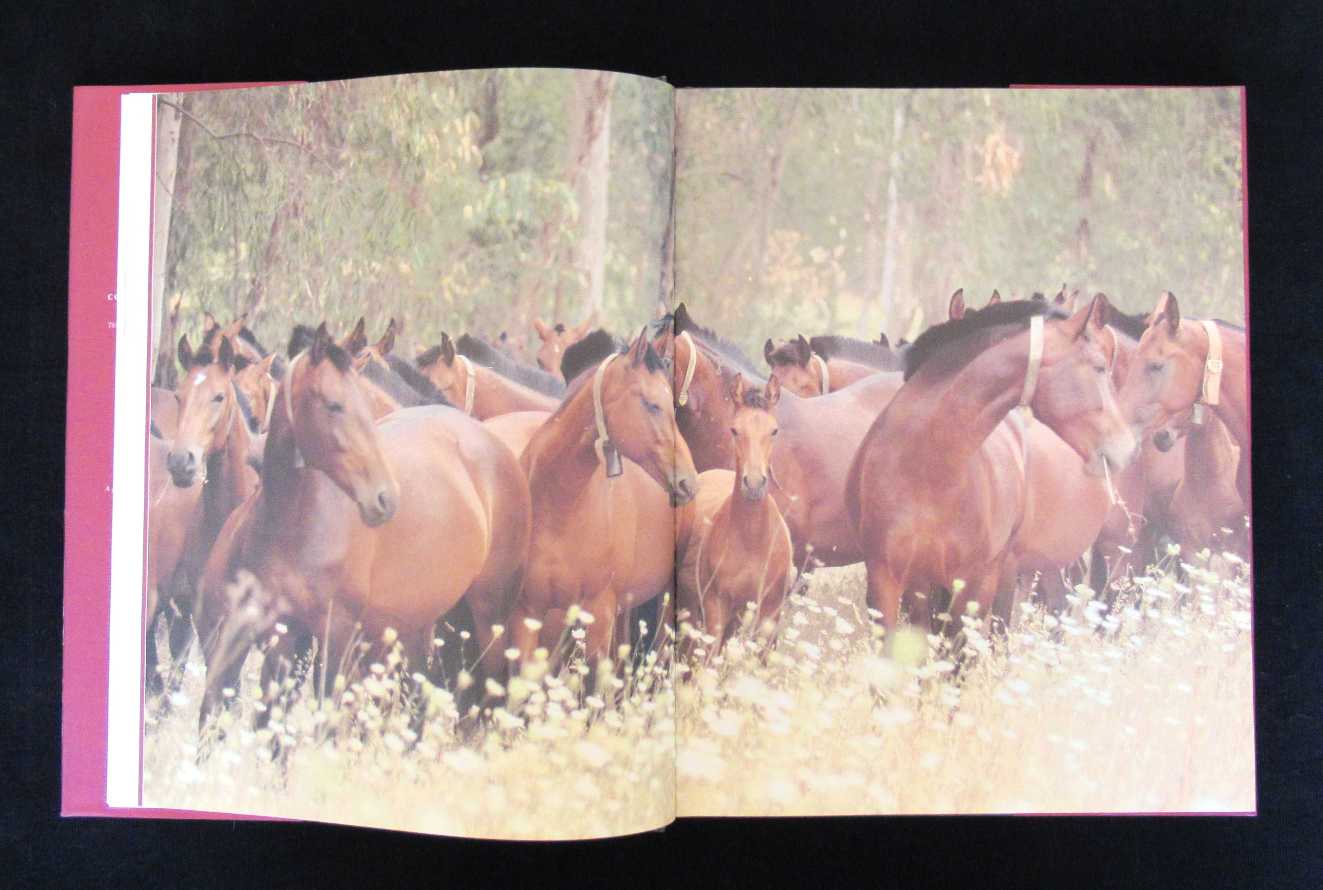 Escola Portuguesa de Arte Equestre - Livro (Ref. 36)