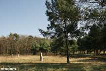 Działki budowlane 1001 m2 - 2121 m2, ul.Mazowiecka, Rajszew