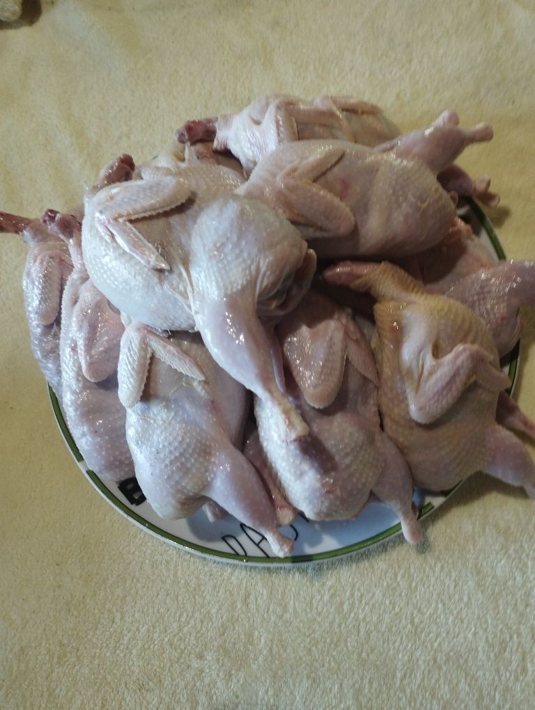 М'ясо і яйце перепілки