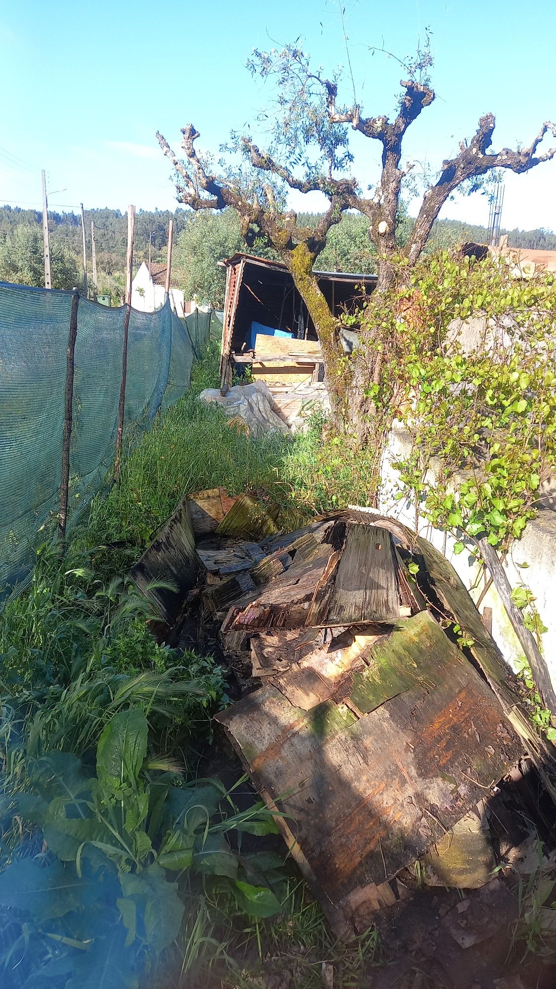 Limpezas e jardinagem