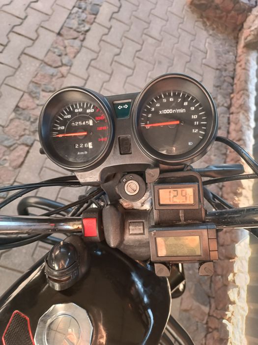 Мустанг альфа 125