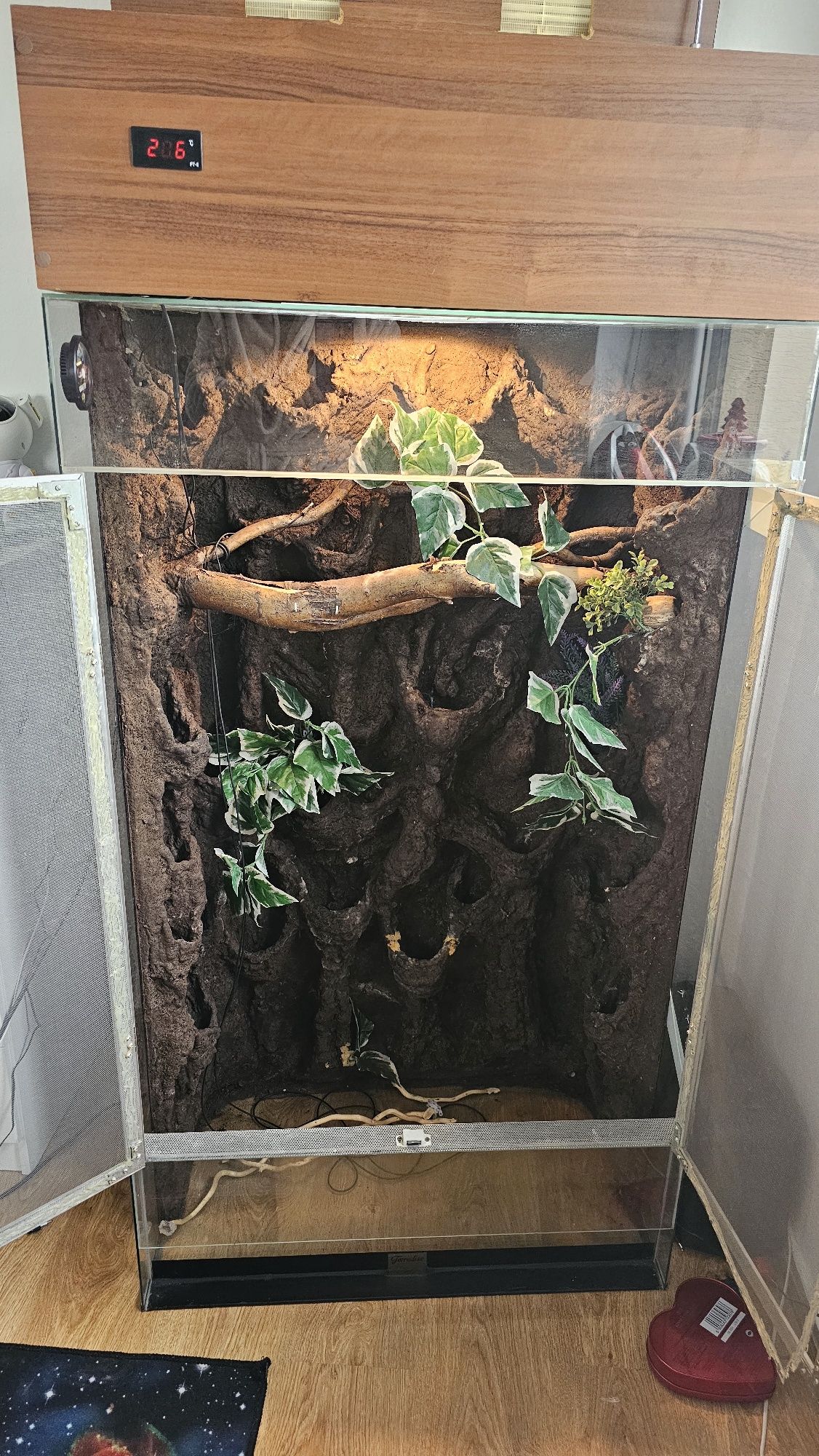 Ogromne terrarium dla kameleona, gady, super zestaw.