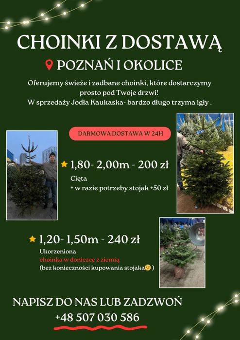 Świąteczne Choinki z Dostawą pod Drzwi – Poznań!