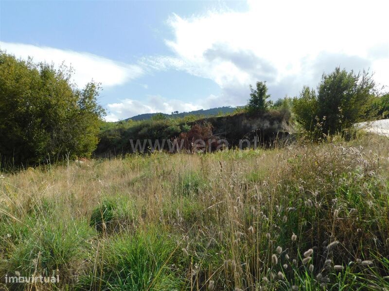 Lote / Fundão, Aldeia de Joanes