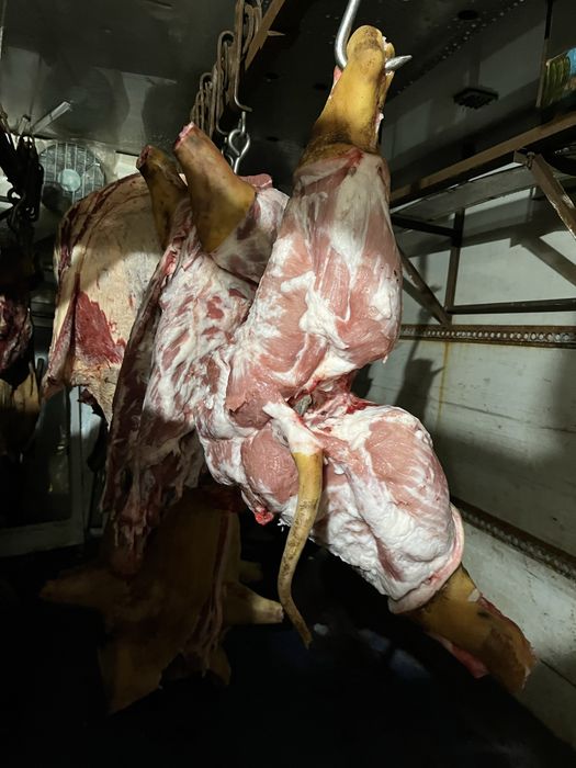 Мʼясо Свинина Телятина Сало Домашнє