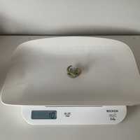 Balança digital de bebé - Becken dos 0gr até 20kg