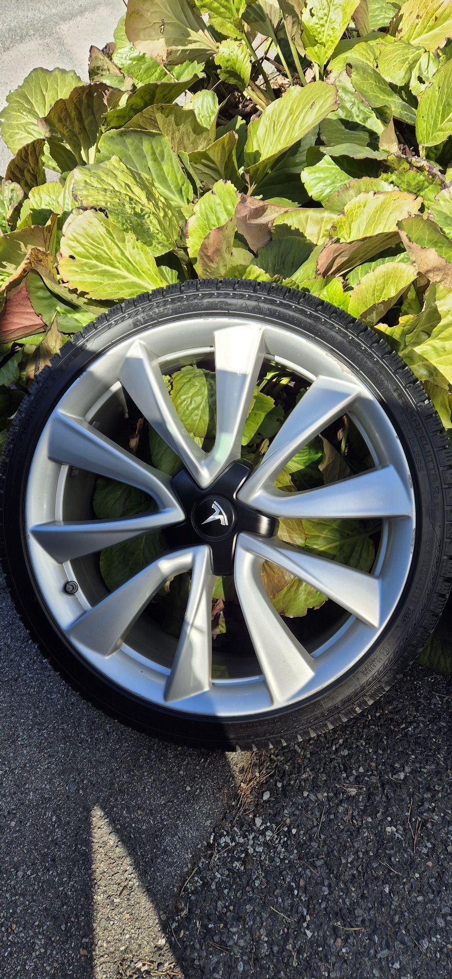 Koła Testa model 3 20"cali Performance