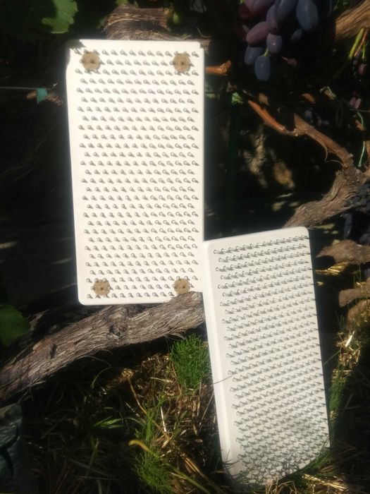 Дошка з цвяхами/дошка Садху