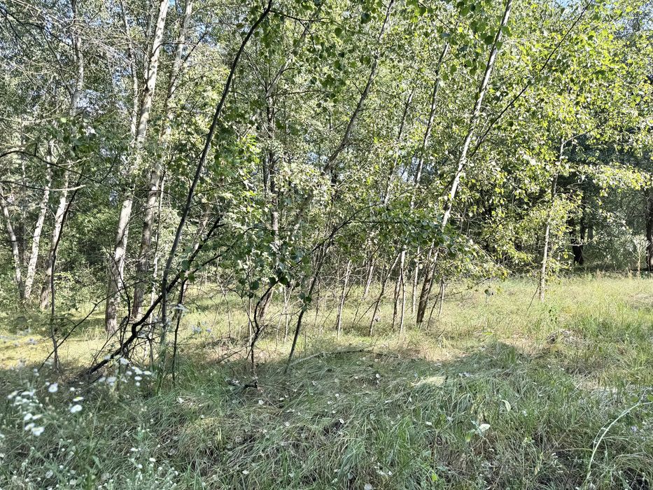 Земельна ділянка 1 га поруч з великим лісом!!!с.Здвижівка.
