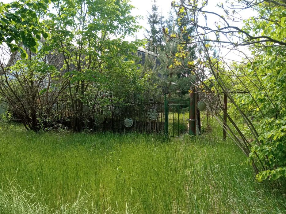 Продам дачний будинок в СТ Лісовий