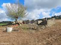 Terreno  para venda