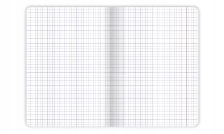 Zeszyt W Kratkę Komplet Zeszytów Xxl Oxford 4 + 1 Kolor Gratis A5 60 K