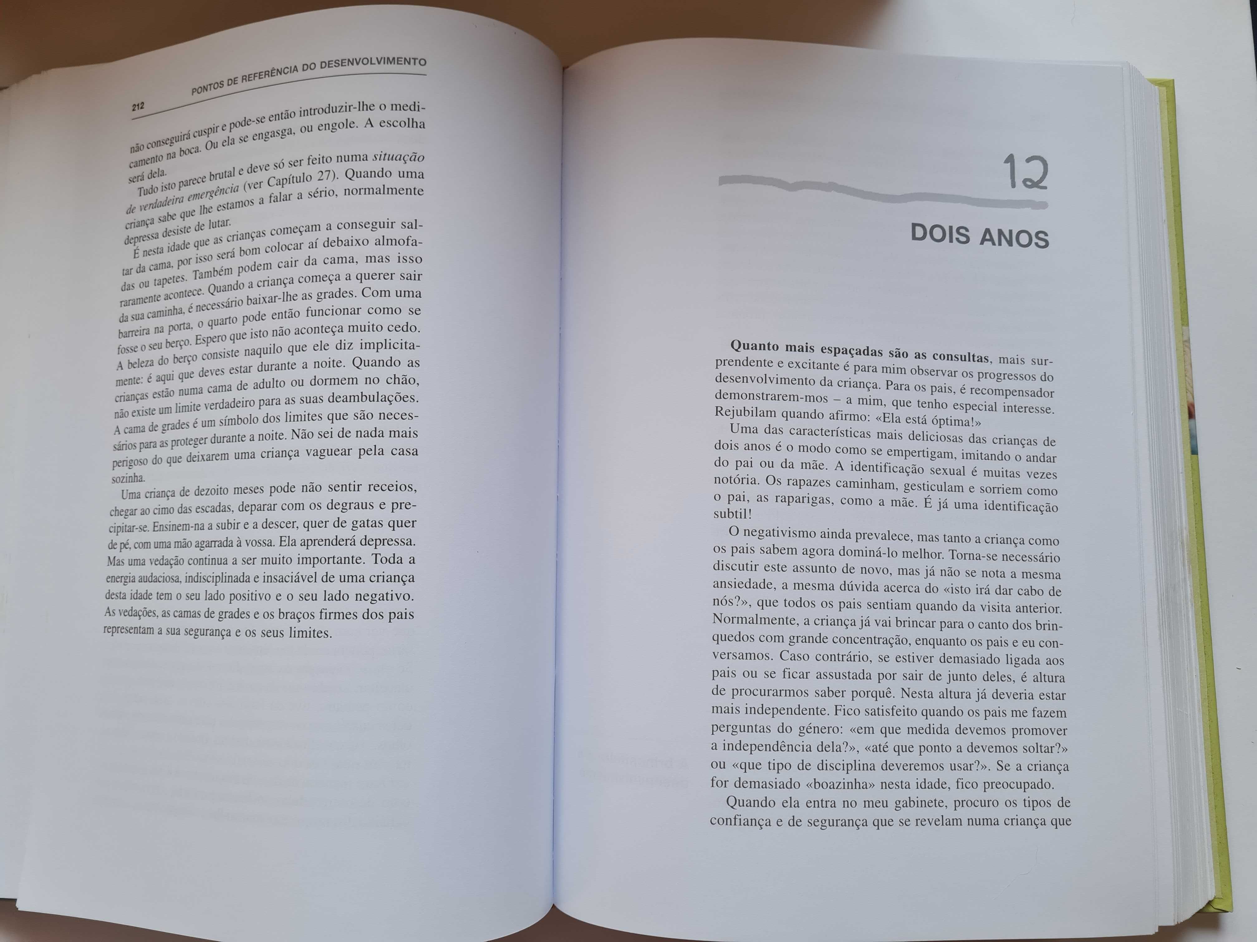 O grande livro da criança