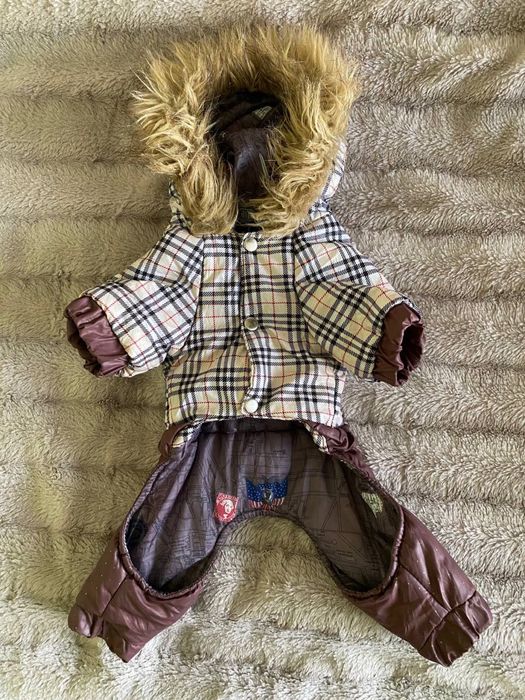 Комбінезон для собаки