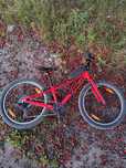 TREK Precaliber 24"