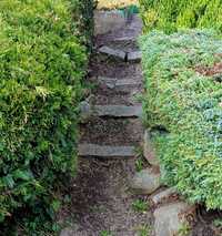 Granitowe stopnie schodów z skalniaka