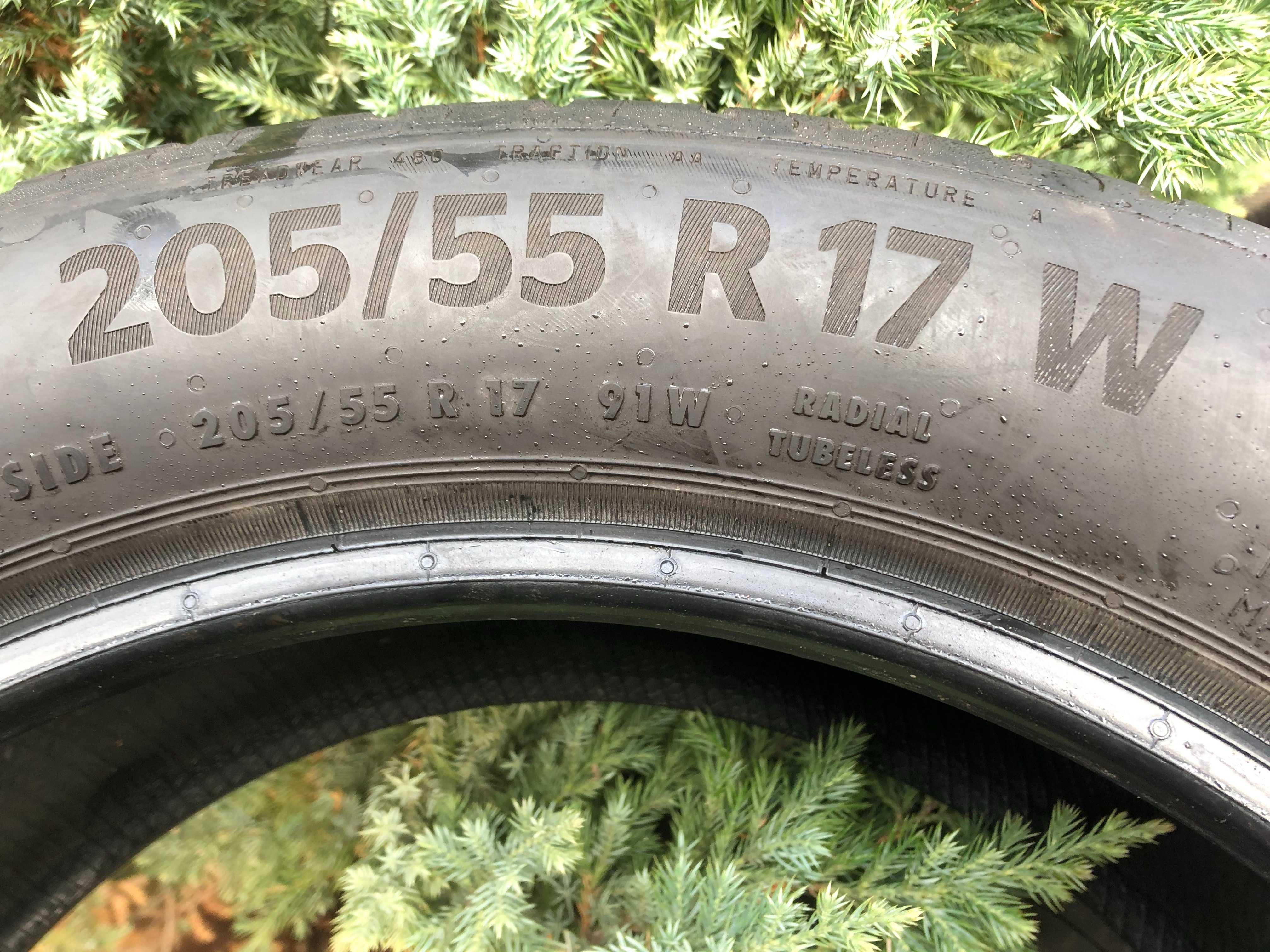 Шини CONTINENTAL 205/55 R17 91W, EcoContact 6, літня резина