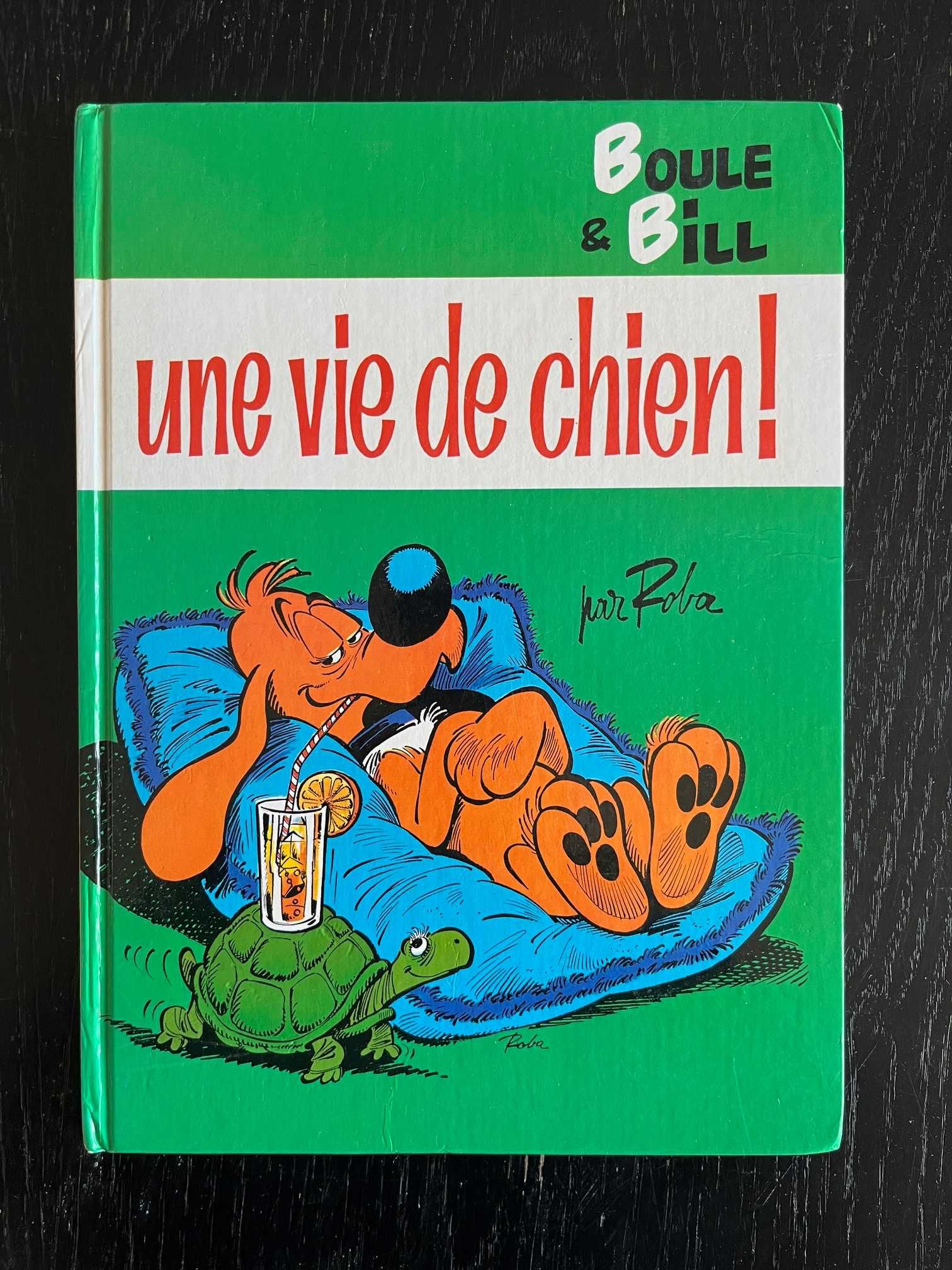 Boule et Bill - Une vie de chien, Roba