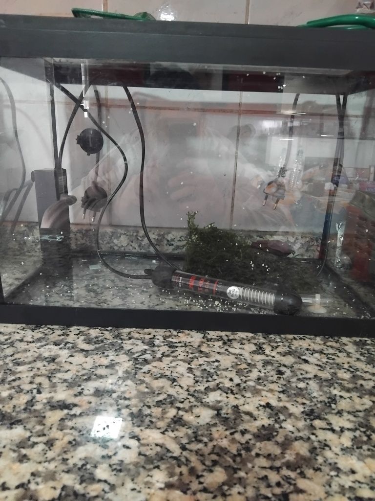 Aquário para peixes