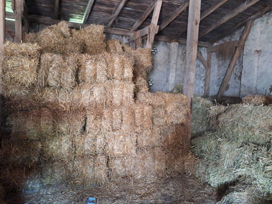 Sprzedaż Kostki Słomy