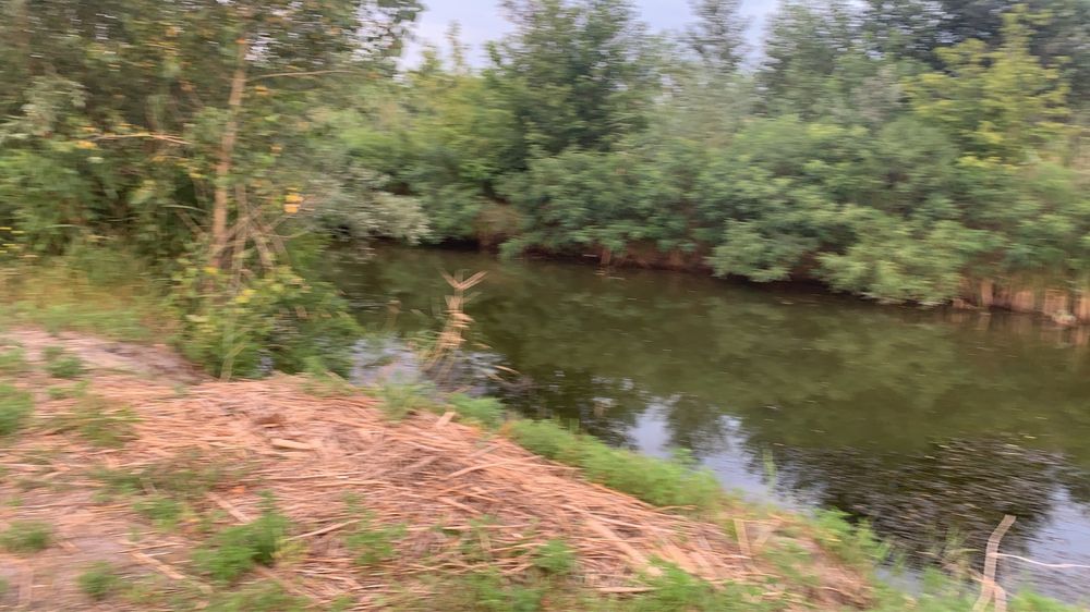 Продам участок со своим берегом в СМТ Обуховка( Кировское)