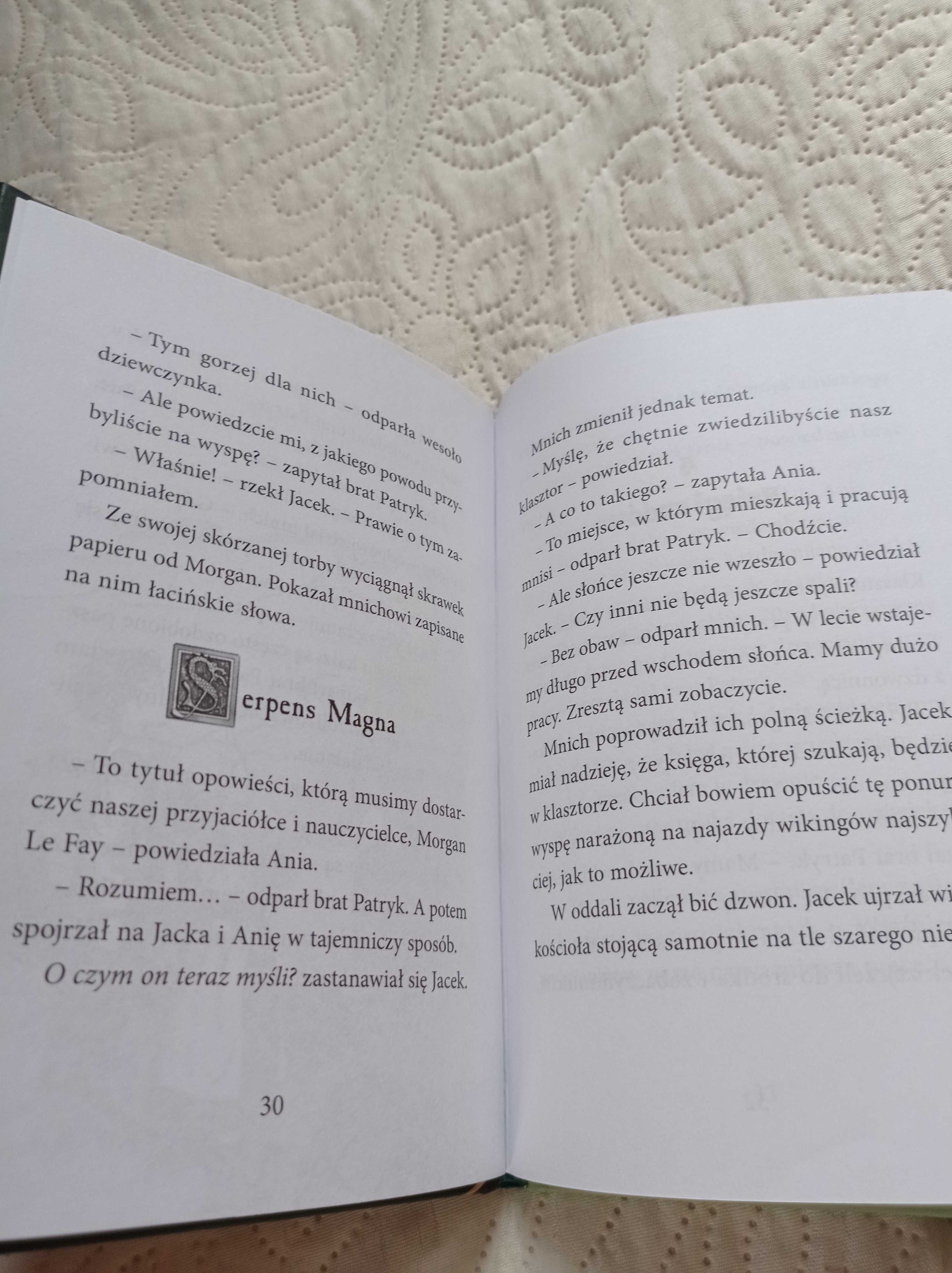 Wikingowie o wschodzie słońca, Mary Pope Osborne