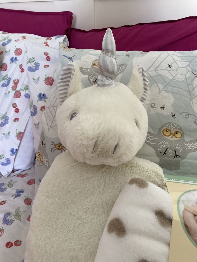 Manta e almofada peluche