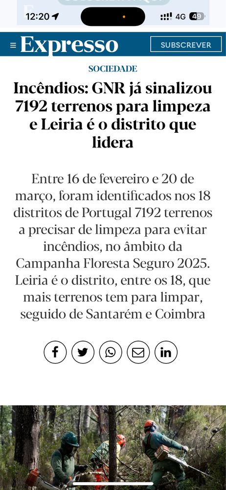 Limpeza terrenos, pinhais…