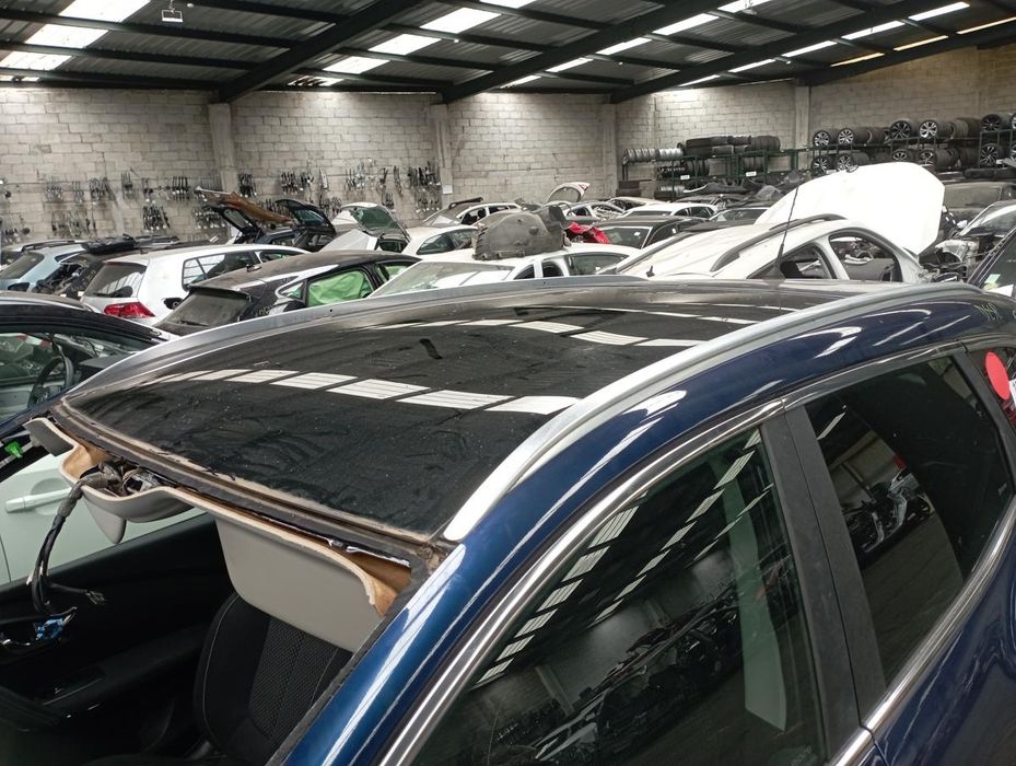 Tejadilho RENAULT Kadjar (HA_, HL_)