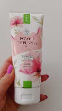 Soraya Power of plants balsam