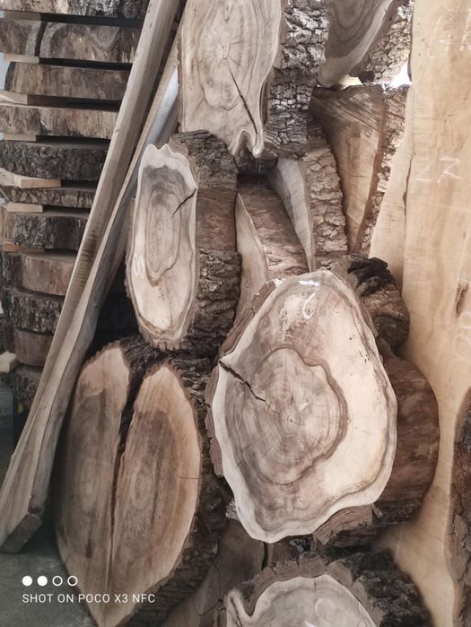 Plastry drewna plasterki orzech i inne gatunki