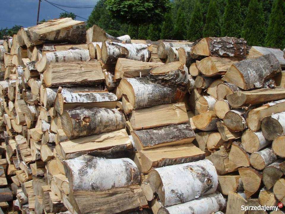Drewno kominkowe sezonowane transport gratis