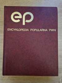 Encyklopedia Popularna PWN, wyd XXII, 1992 rok