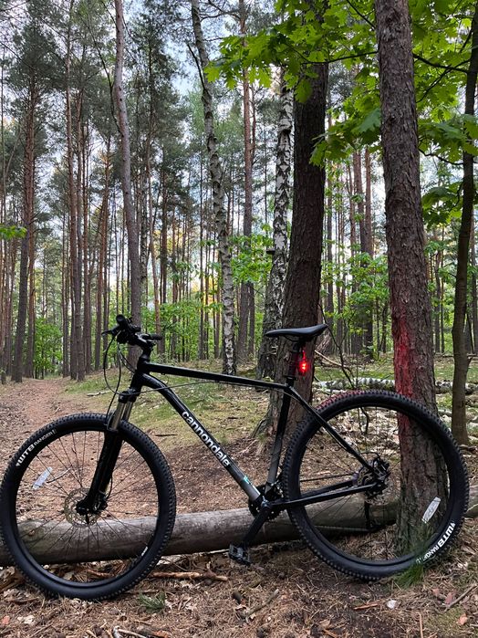Rower Cannondale Trail 5 (2021)