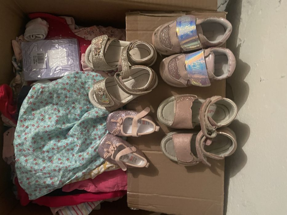 Oddam za karme dla schroniska