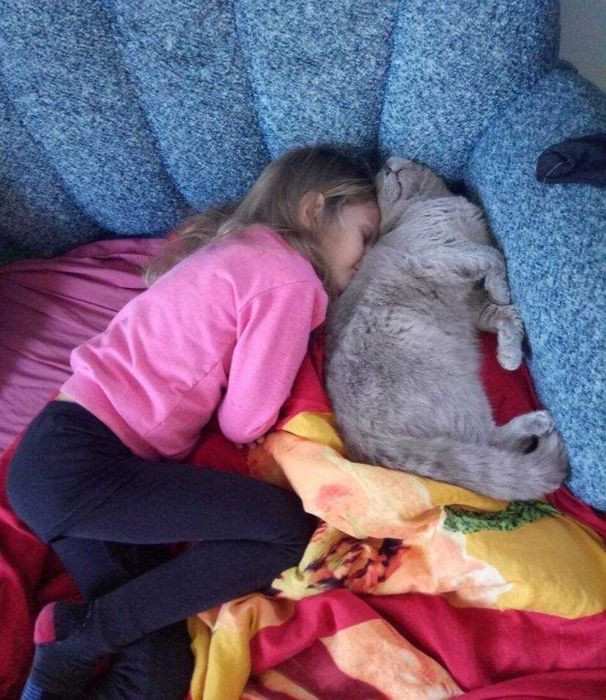 Шотландец (британец) недорого ждет в гости подружку. Междунар.