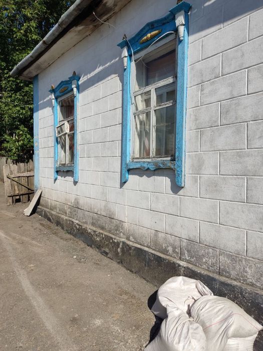 Продам будинок в Чепино Камянский район