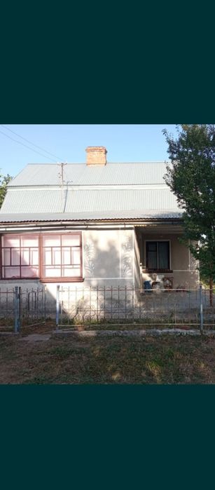 Будинок в Кам'янках