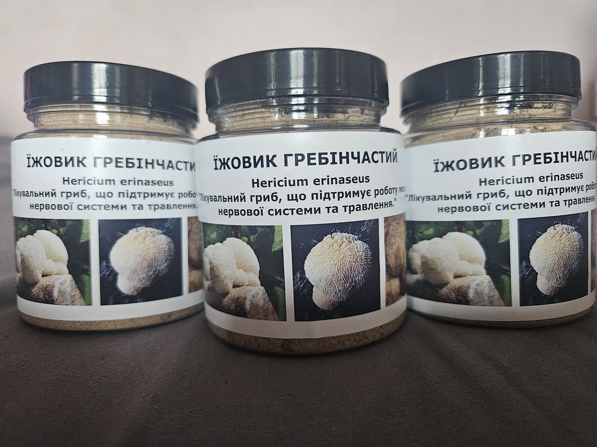 Справжній  Їжовик Гребінчастий 150г. Працюючий
