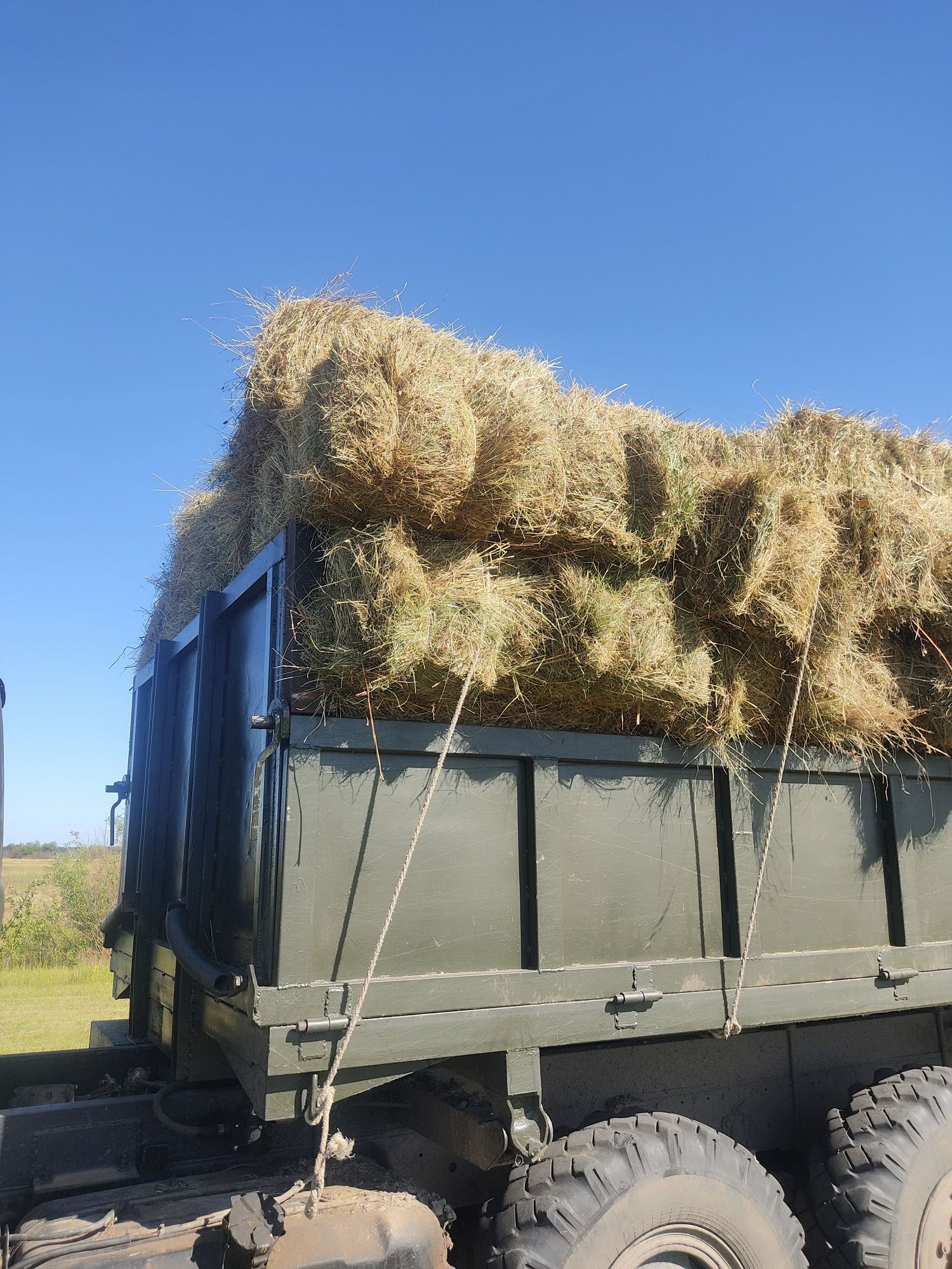 Продам сіно лугове в тюках 2025 і солому в тюках