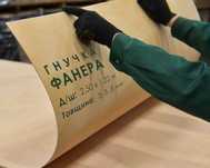 Гнучка фанера (гнутая) СЕЙБА (2,5 х 1,22 м) в наявності