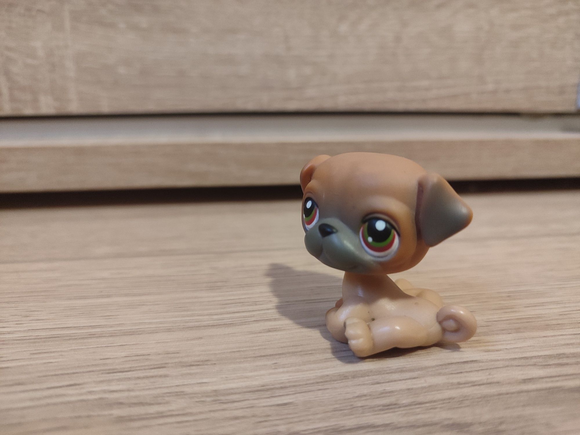 OKAZJA piesek MOPS #2 Littlest Pet Shop LPS
pies piesek MOPS #2 -- Li