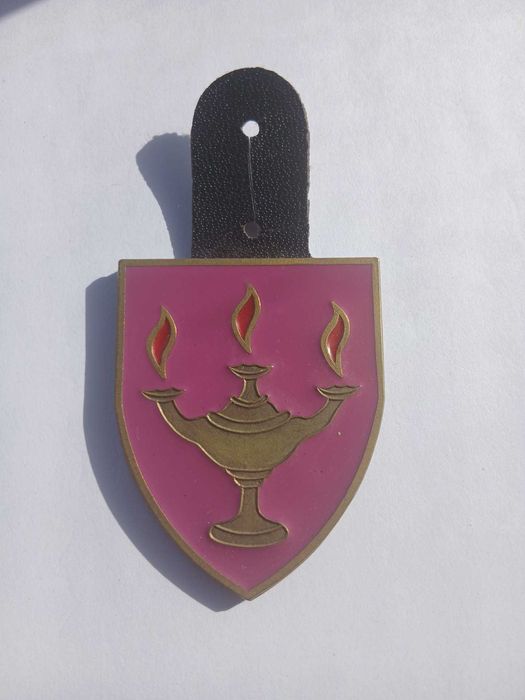 Patchs e crachat de unidades Exército e da Força Aérea