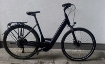 TREK bosch active line bateria 500wh