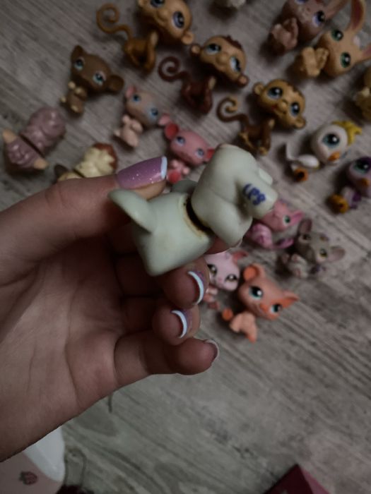 LPS Littlest pet shop zestaw