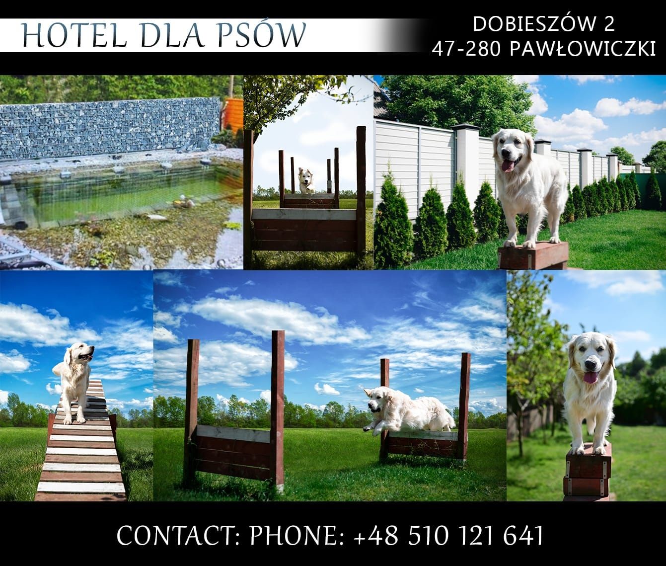 Hotel dla psów Hakerland Wodny Raj