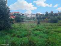 Terreno  para venda