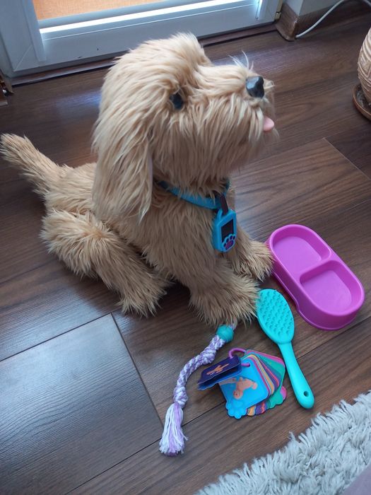 Sprzedam pieska Piksel interaktywny, jak nowy