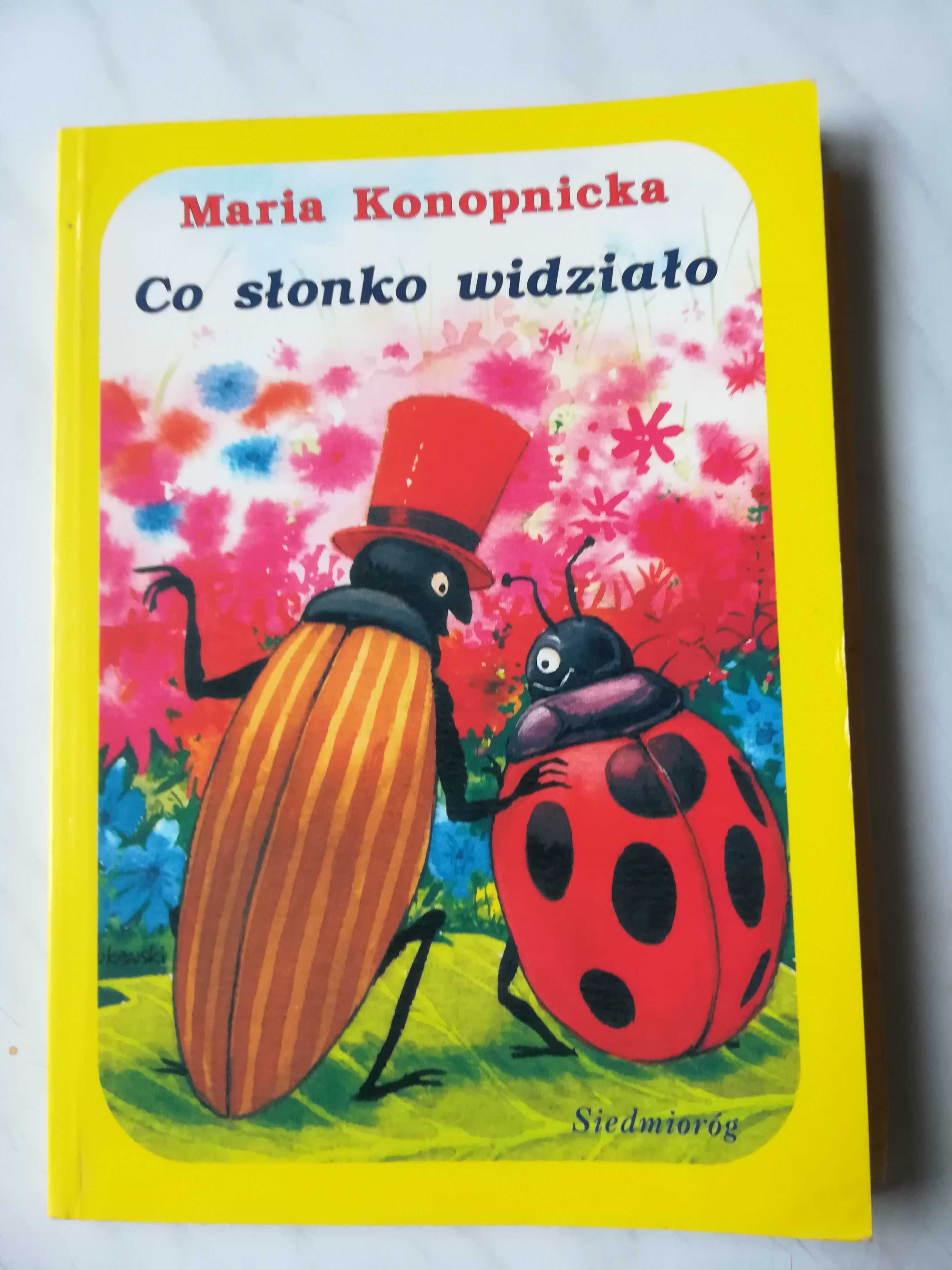 Co słonko widziało Maria Konopnicka